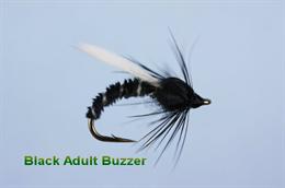 Black Adult Buzzer